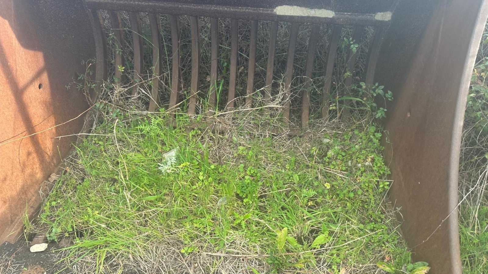 OmecoHub - Immagine 3